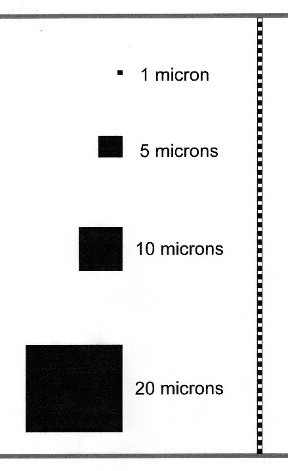 What Is a Micron? Definition and Examples